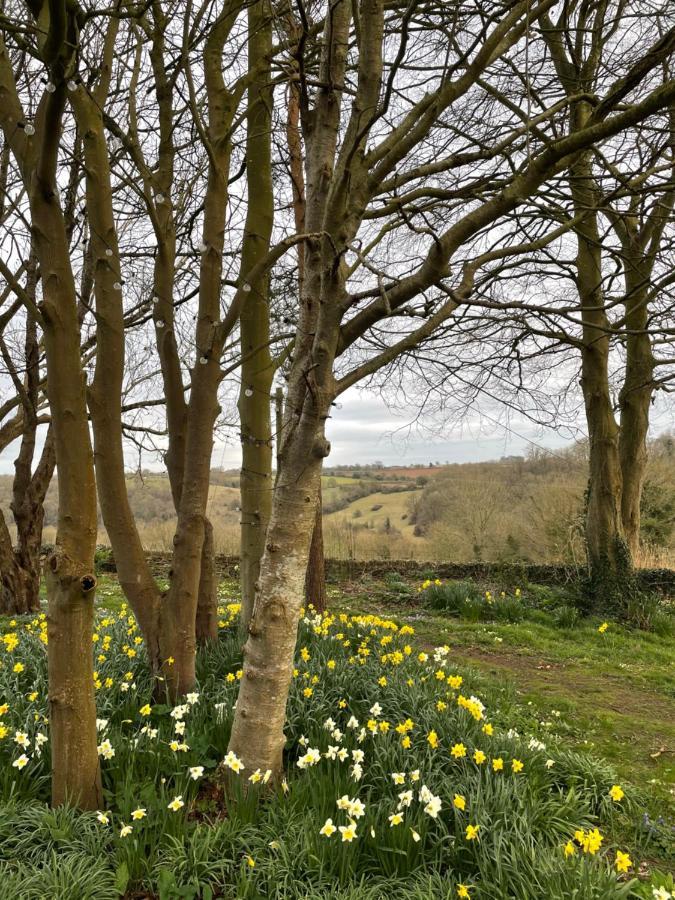 Hill House B & B & Luxury Shepherds Huts Castle Combe Luaran gambar